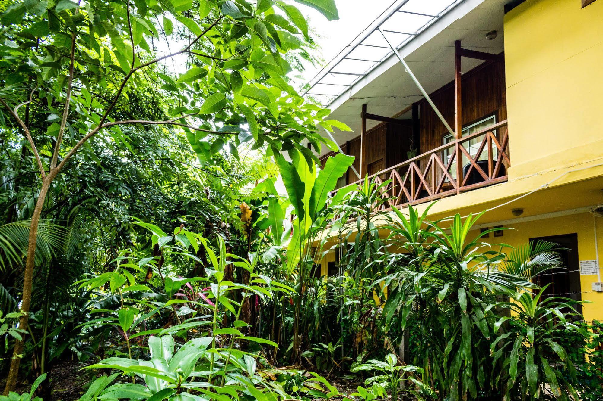 Hotel Aurora Montezuma Exterior photo
