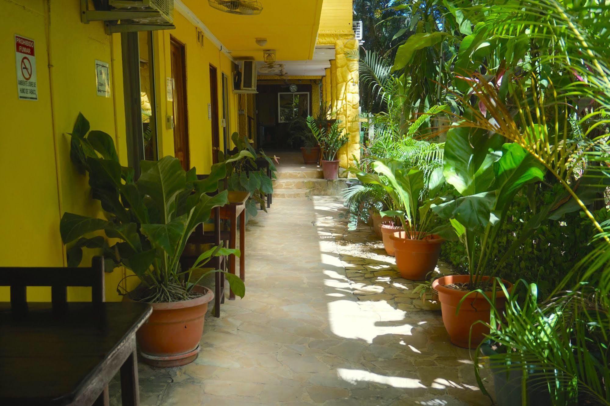 Hotel Aurora Montezuma Exterior photo